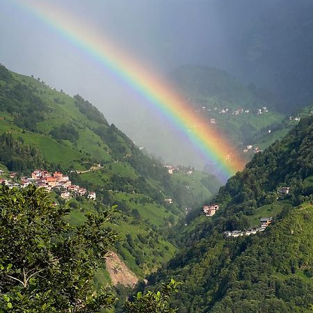 Pathika Bungalov Çamlıhemşin Extérieur photo